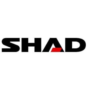 shad